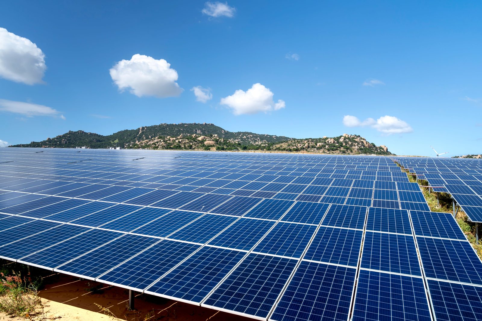 Planta fotovoltaica al atardecer